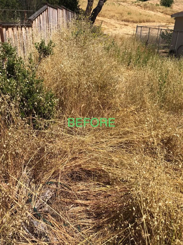 Top-rated residential landscaping in Morgan Hill, CA by Bay Area Weed Eaters