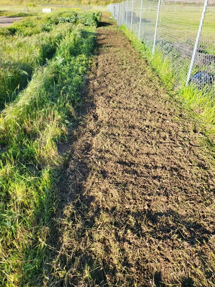 Custom residential landscaping experts serving Morgan Hill, CA - Bay Area Weed Eaters