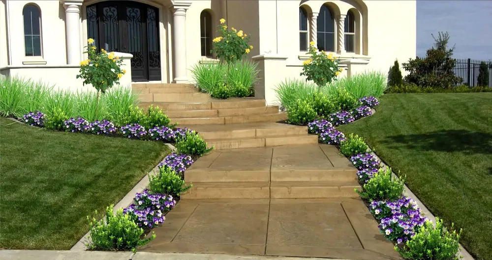 Expert yard maintenance for beautiful yards across Pleasanton, CA - BAY AREA YARD CARE