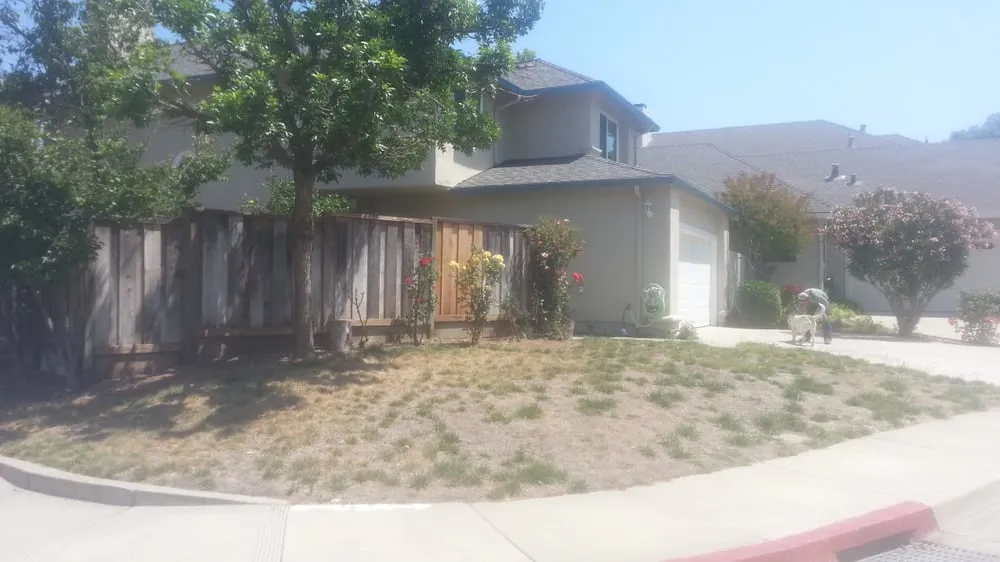 Custom residential landscaping in Pleasanton, CA by BAY AREA YARD CARE