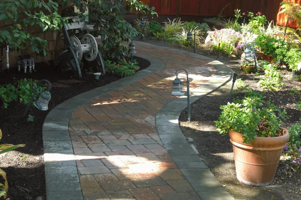 Professional lawn care service in Pleasanton, CA - BAY AREA YARD CARE