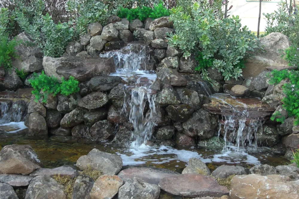 Expert lawn care service for outdoor upgrades in Pleasanton, CA by BAY AREA YARD CARE