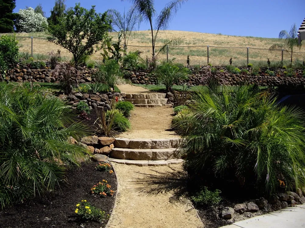 Local residential landscaping in Pleasanton, CA by BAY AREA YARD CARE