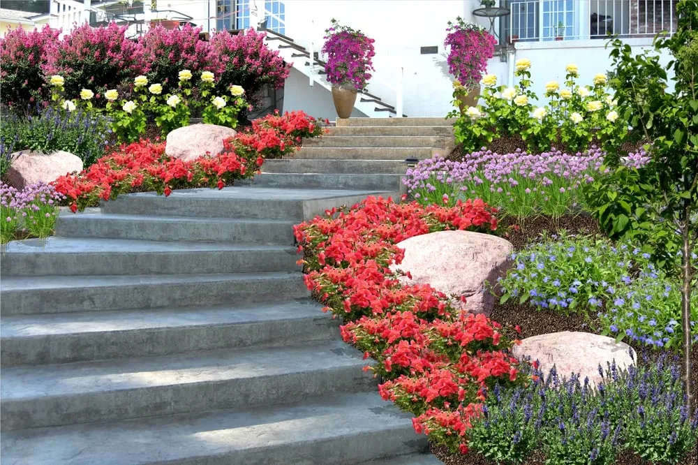 Top-rated lawn care service in Pleasanton, CA - BAY AREA YARD CARE