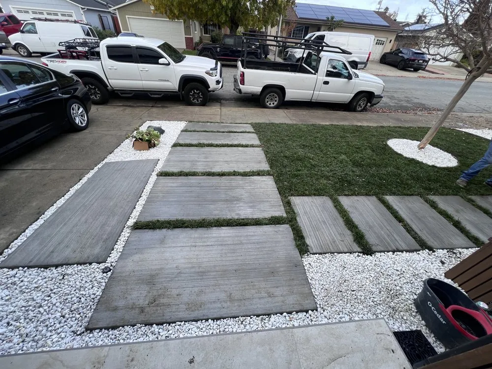 Affordable landscape design in Arden-Arcade, CA - Bay Bloom