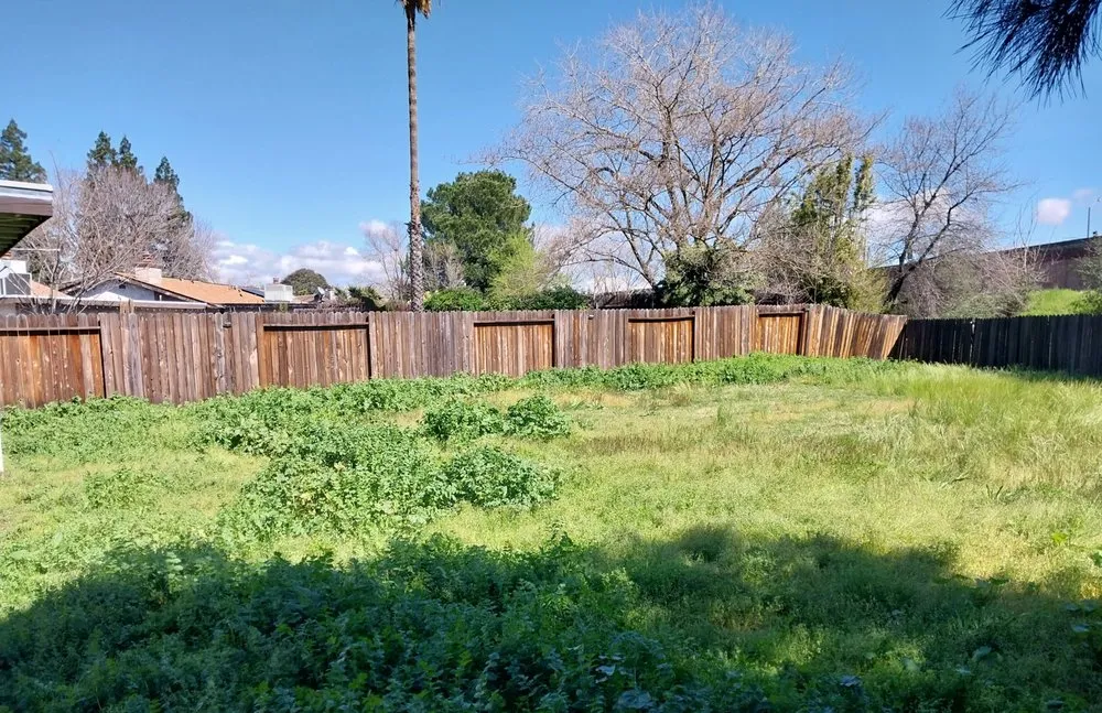 Expert residential landscaping in Arden-Arcade, CA - Bay Bloom