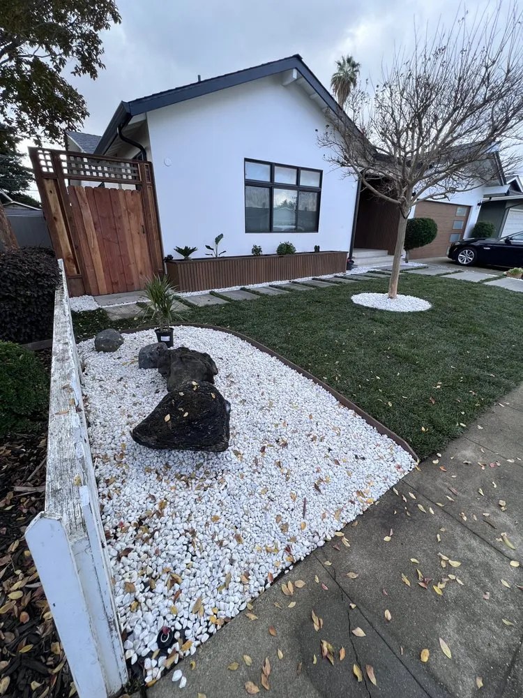 Custom lawn mowing service experts serving Arden-Arcade, CA - Bay Bloom