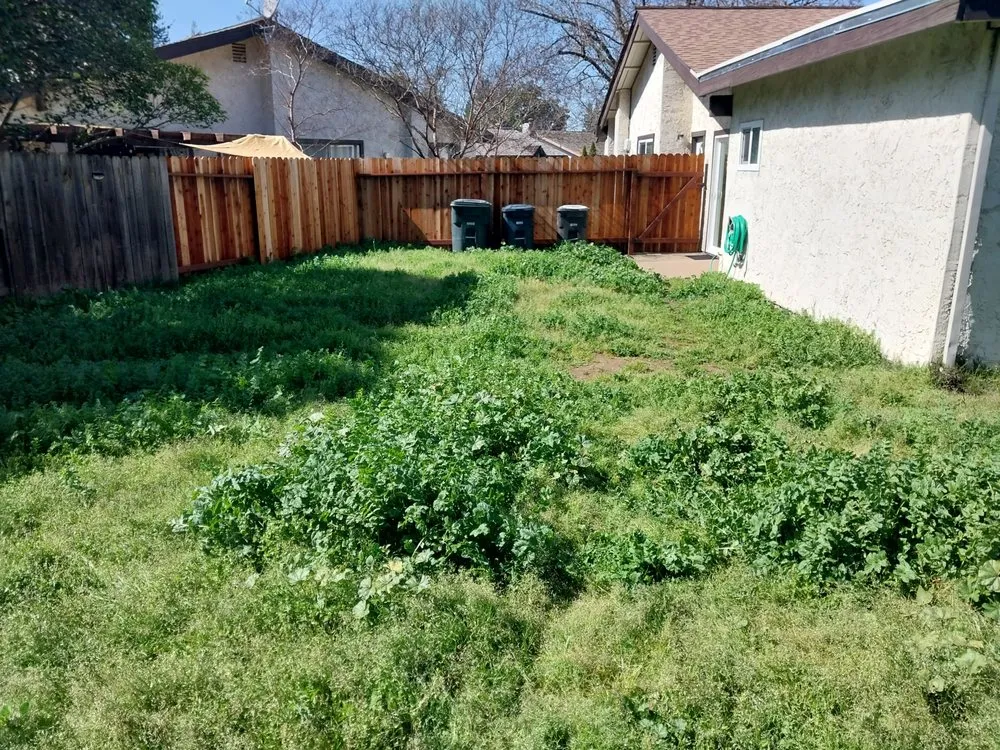 Expert landscape installation for homes in Arden-Arcade, CA by Bay Bloom