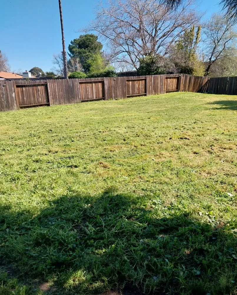 Professional lawn care service near you across Arden-Arcade, CA - Bay Bloom
