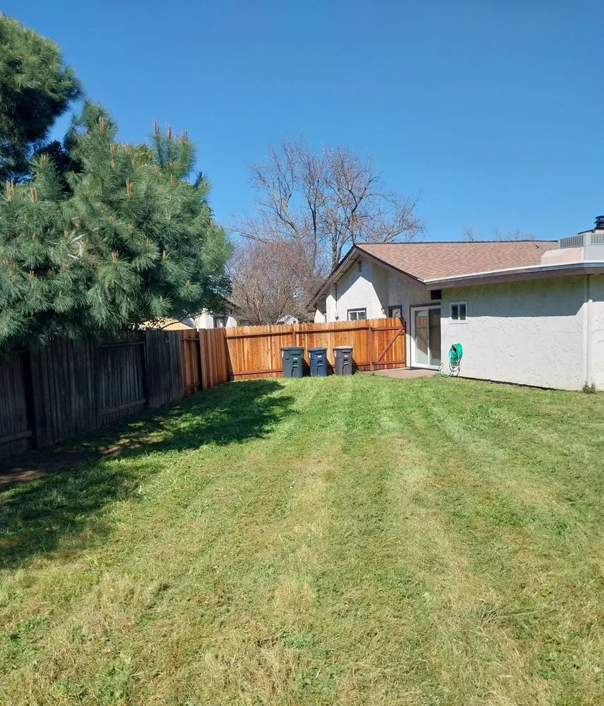 Expert lawn mowing service for outdoor upgrades across Arden-Arcade, CA - Bay Bloom