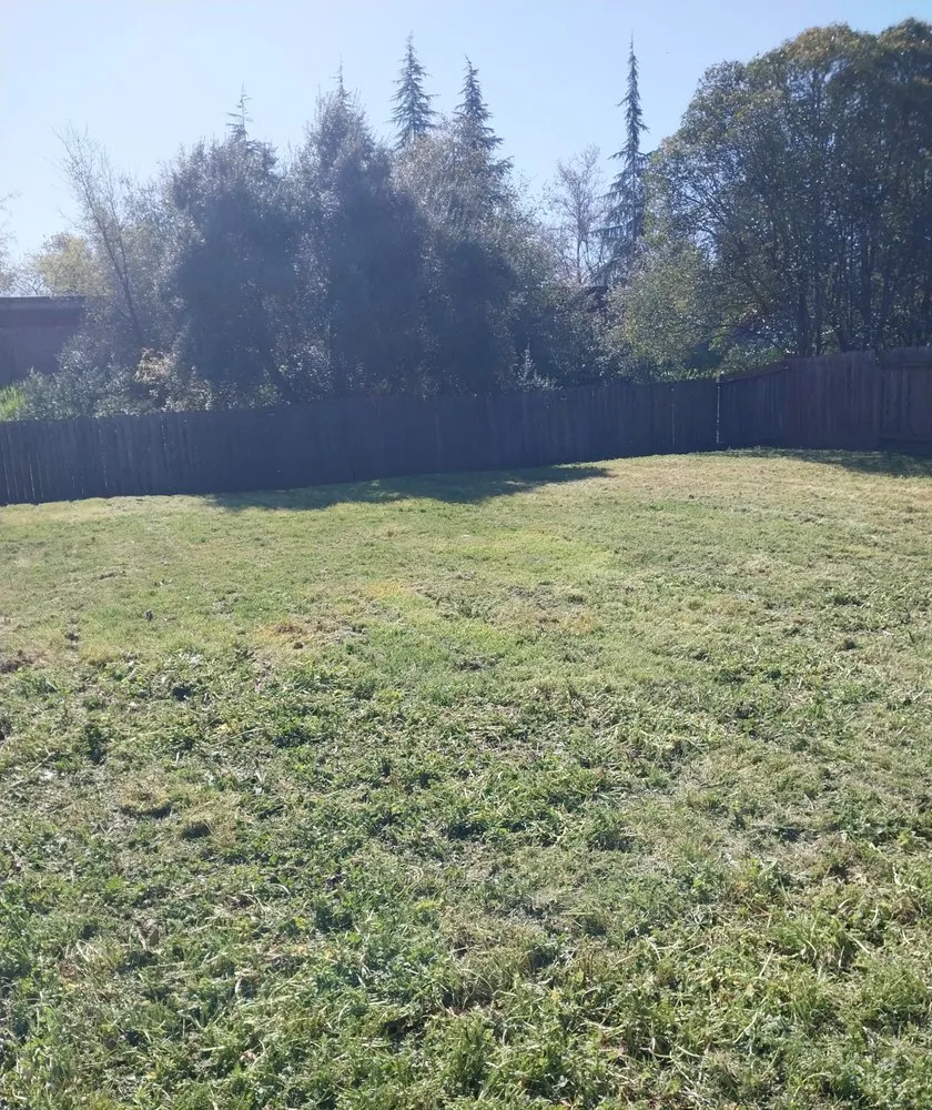 Trusted landscape installation experts serving Arden-Arcade, CA - Bay Bloom