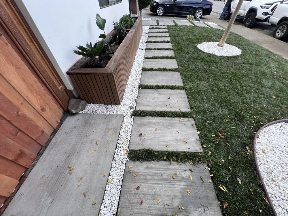 Affordable yard cleanup service for beautiful yards across Arden-Arcade, CA - Bay Bloom
