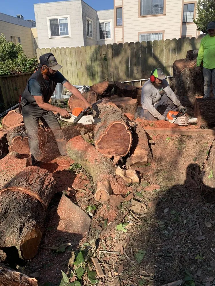 Local lawn mowing service experts serving San Francisco, CA - Bay Breeze Landscaping