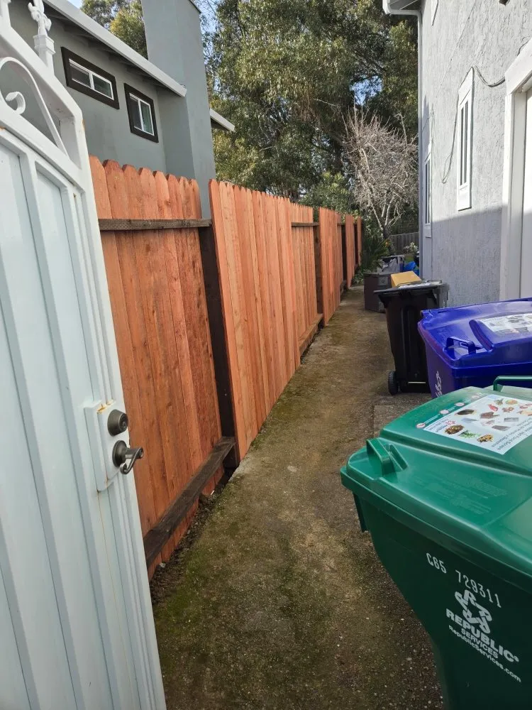 Trusted yard cleanup service with custom design in Richmond, CA by Bay City Landscape and Handyman