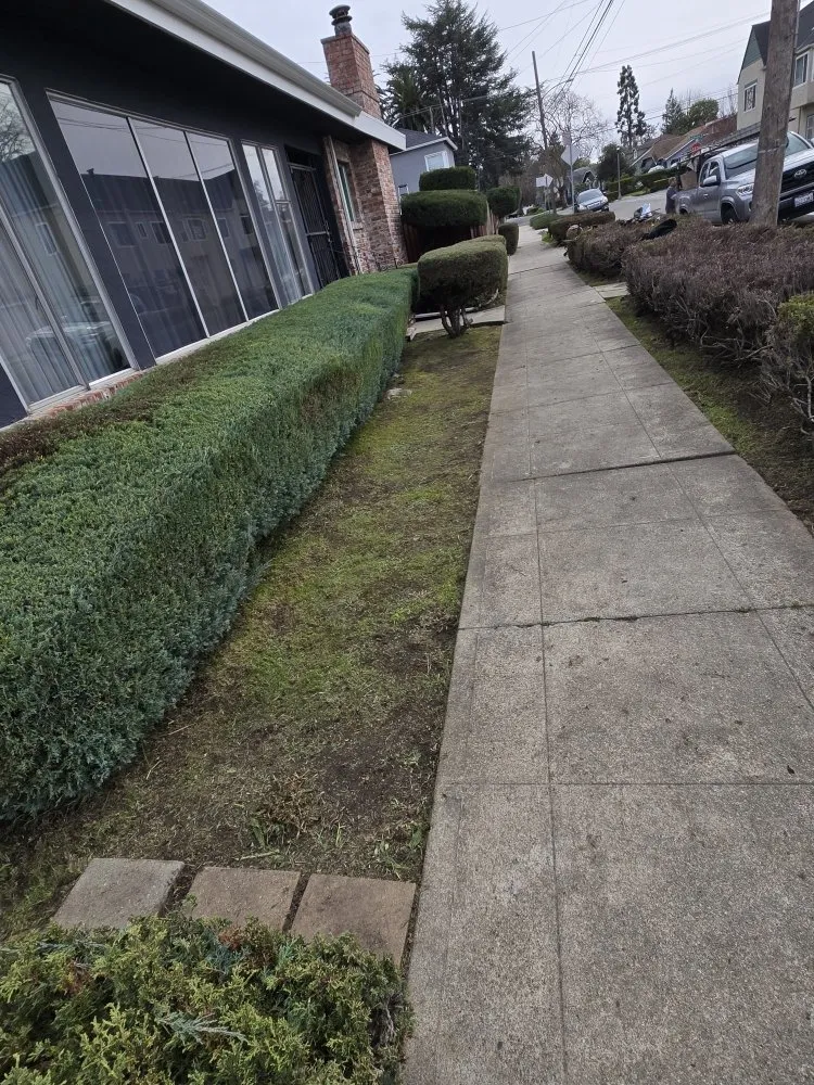 Trusted residential landscaping in Richmond, CA - Bay City Landscape and Handyman