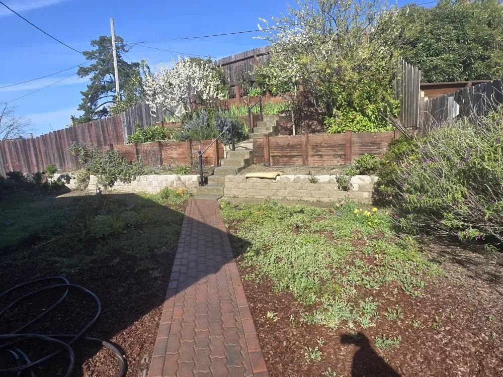 Local garden landscaping in Richmond, CA by Bay City Landscape and Handyman