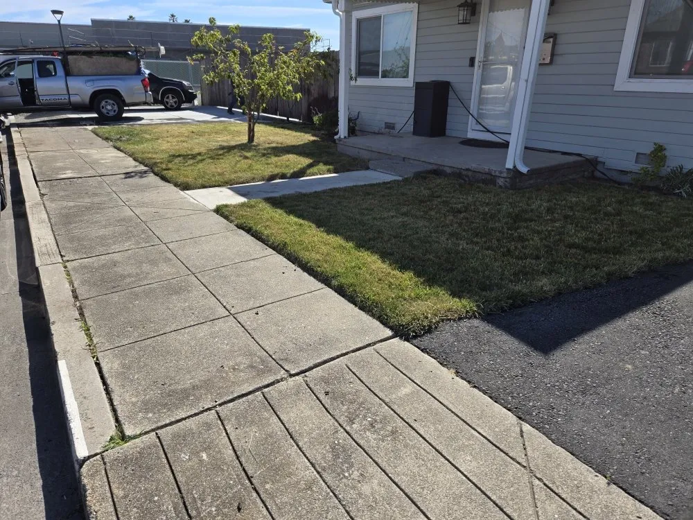 Custom garden landscaping in Richmond, CA by Bay City Landscape and Handyman