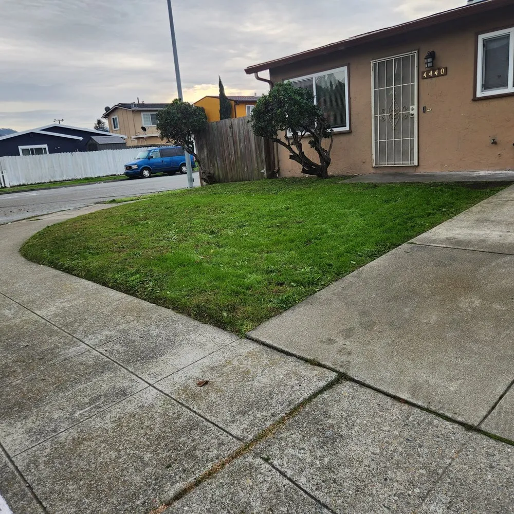 Expert landscaping services in Richmond, CA by Bay City Landscape and Handyman