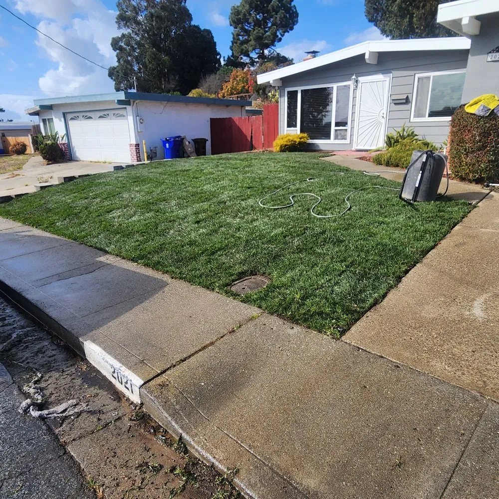 Affordable outdoor landscaping with custom design across Richmond, CA - Bay City Landscape and Handyman