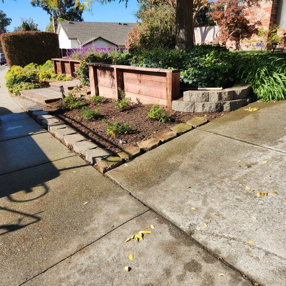 Local yard maintenance experts serving Richmond, CA - Bay City Landscape and Handyman