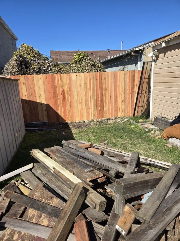 Expert yard cleanup service in Richmond, CA by Bay City Landscape and Handyman