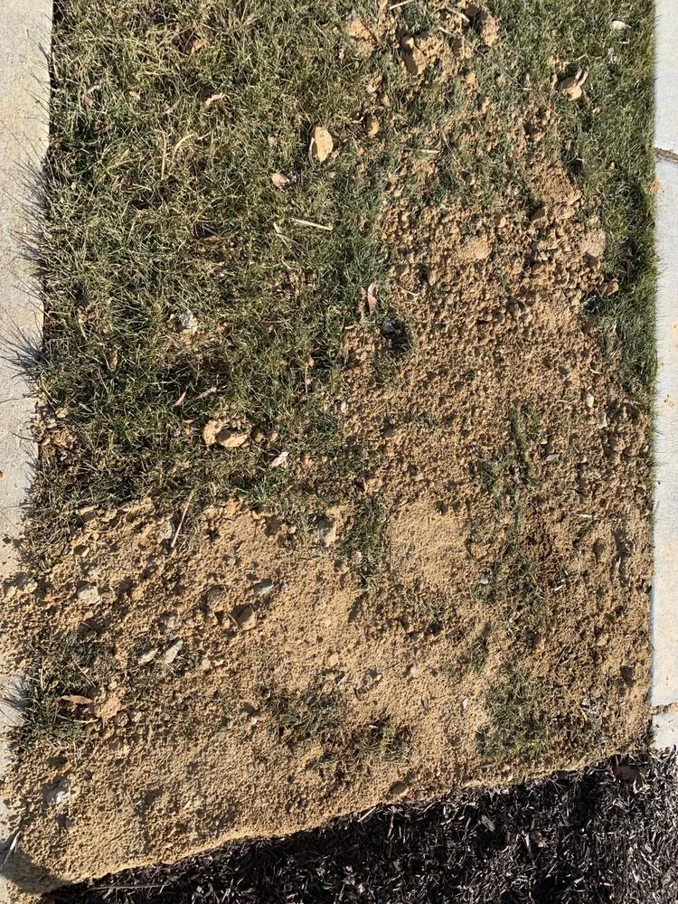 Expert landscaping services in Elkton, MD by Bay Country Landscape & Maintenance