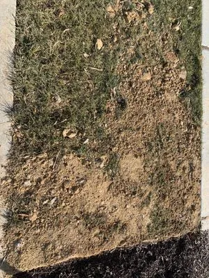 Bay Country Landscape & Maintenance