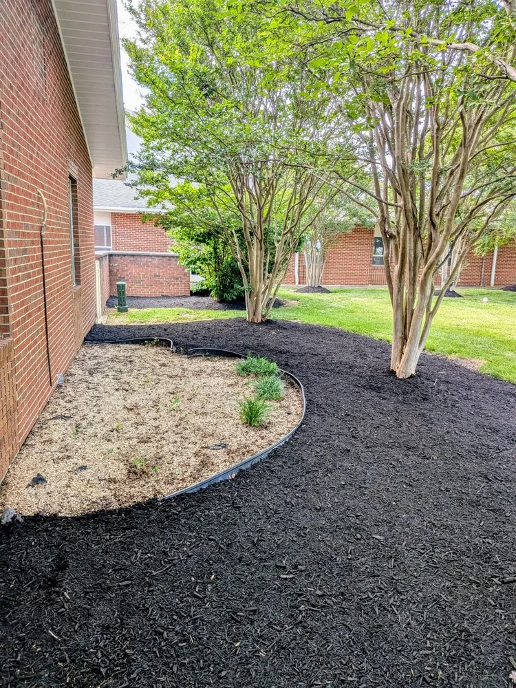 Top-rated lawn mowing service for residential properties in Chesapeake Beach, MD by Bay Crab Exteriors