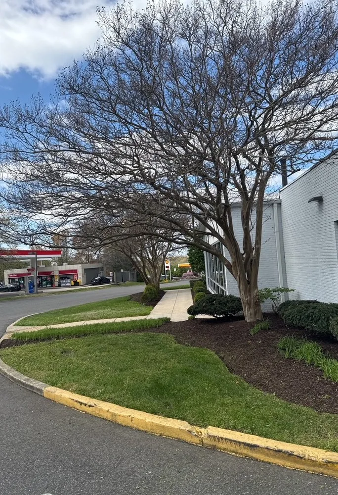 Custom outdoor landscaping for residential properties in Chesapeake Beach, MD by Bay Crab Exteriors