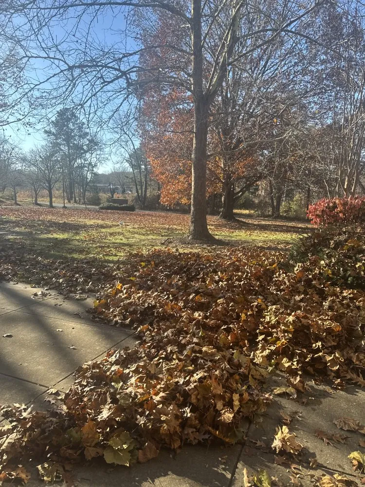 Custom landscape installation for year-round maintenance in Chesapeake Beach, MD by Bay Crab Exteriors