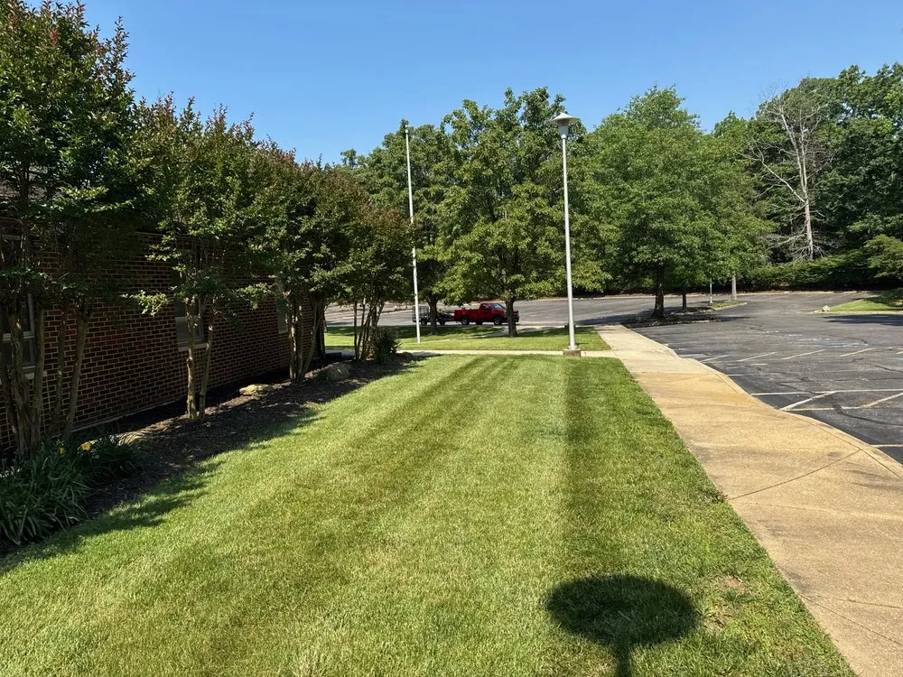 Trusted yard cleanup service in Chesapeake Beach, MD - Bay Crab Exteriors