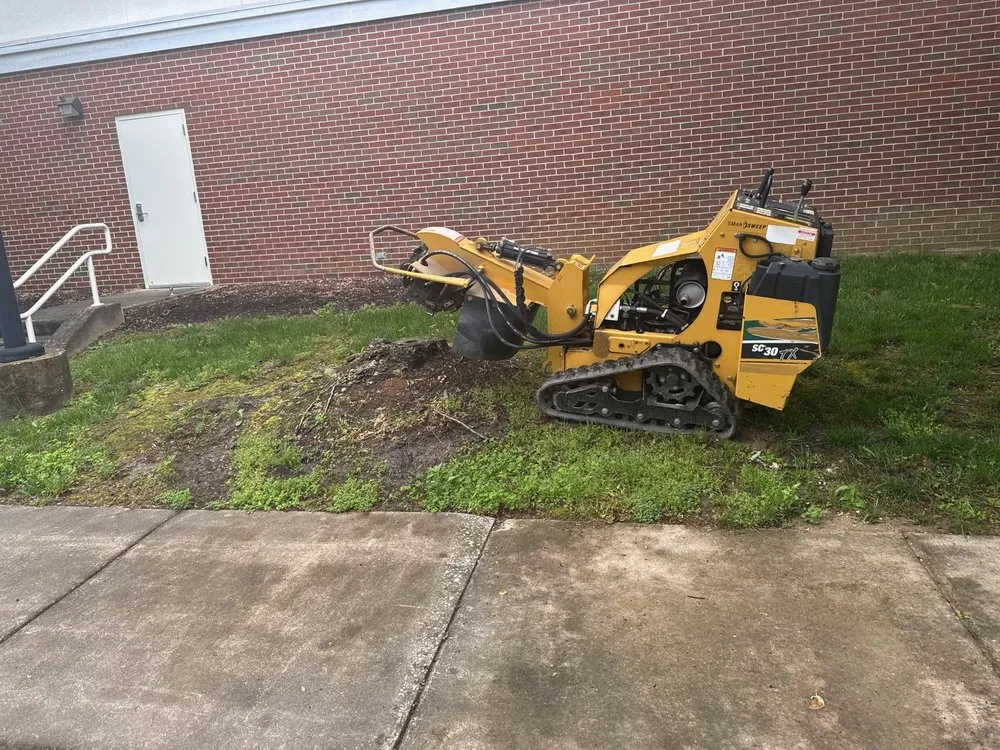 Reliable lawn mowing service in Chesapeake Beach, MD - Bay Crab Exteriors