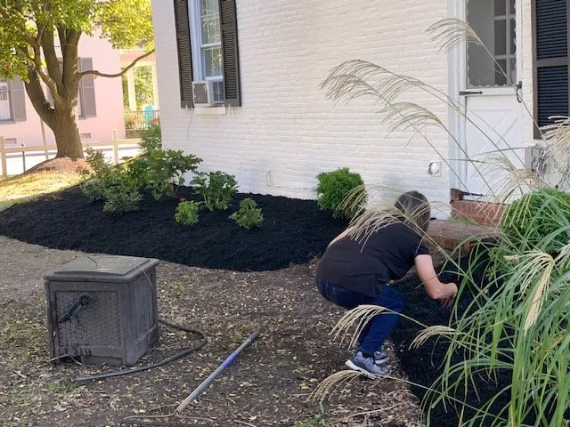 Local lawn care service in McDaniel, MD - Bay Creek Services