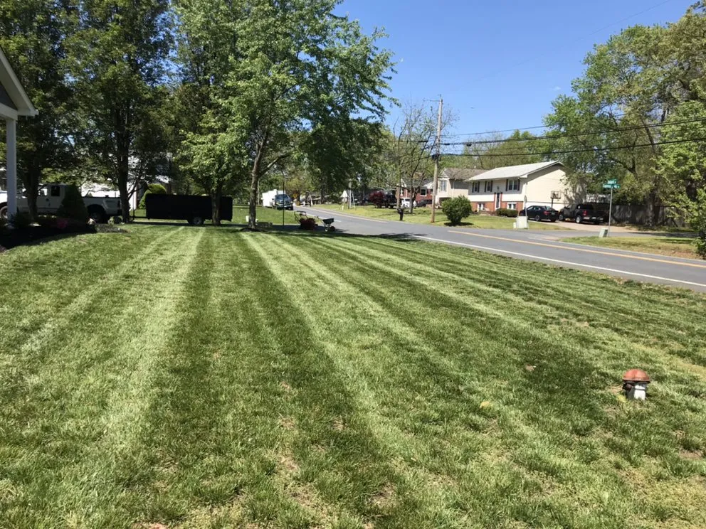 Professional landscape design in Annapolis, MD - Bay Garden Landscaping