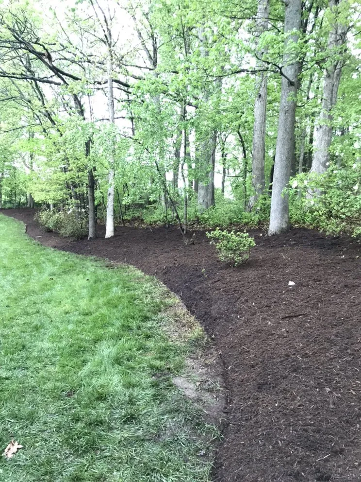 Expert yard maintenance near you across Annapolis, MD - Bay Garden Landscaping