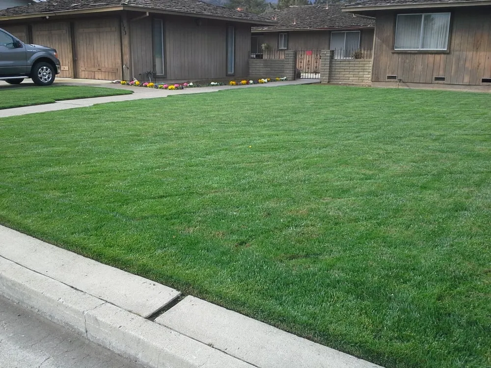 Reliable lawn mowing service experts serving Morgan Hill, CA - Bay Garden