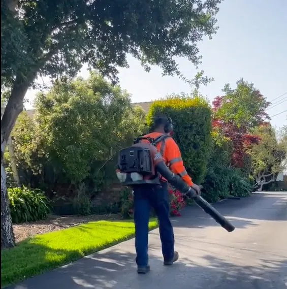 Top-rated yard maintenance in Morgan Hill, CA - Bay Garden