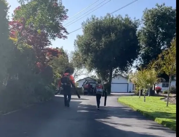 Expert residential landscaping near you across Morgan Hill, CA - Bay Garden