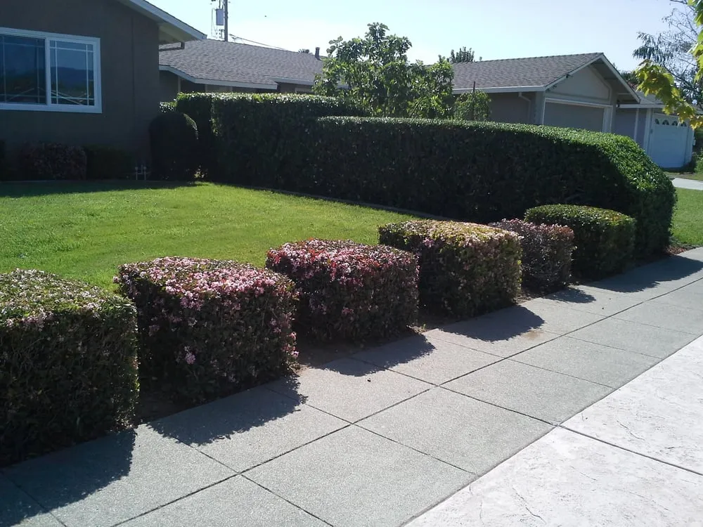 Trusted residential landscaping near you in Morgan Hill, CA by Bay Garden