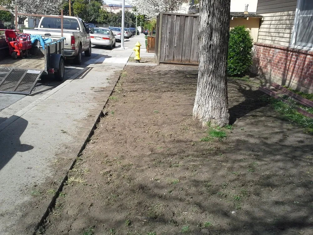 Affordable lawn mowing service in Morgan Hill, CA by Bay Garden