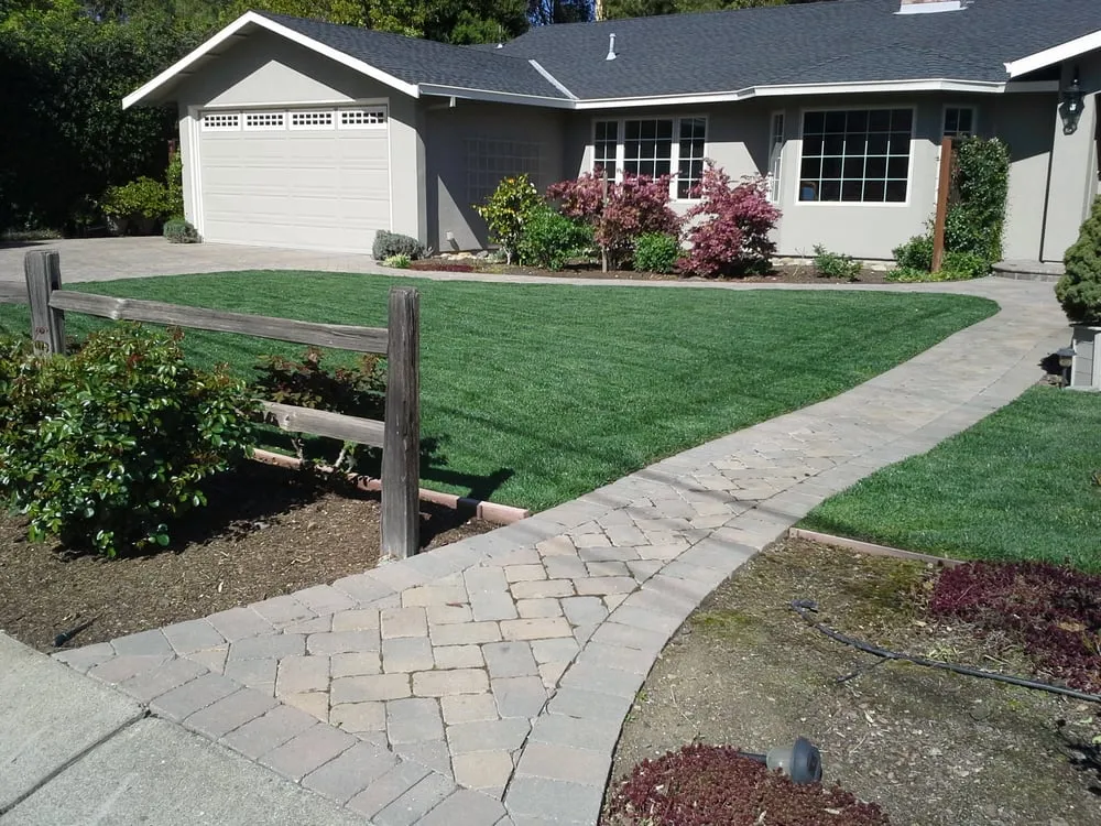 Expert yard maintenance in Morgan Hill, CA by Bay Garden