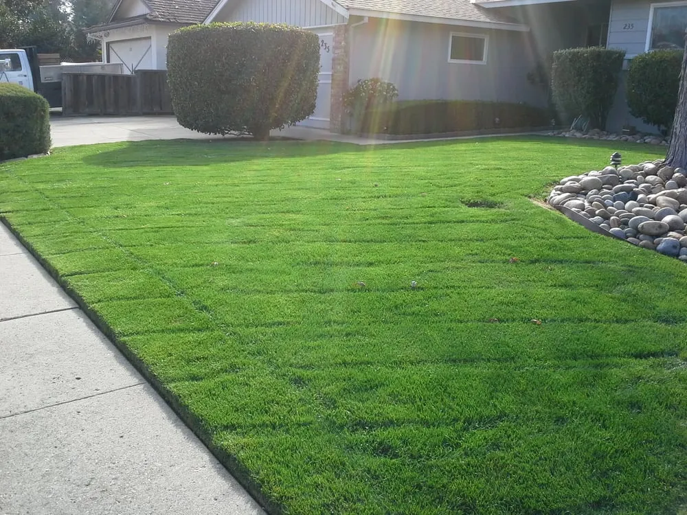 Local lawn care service near you across Morgan Hill, CA - Bay Garden