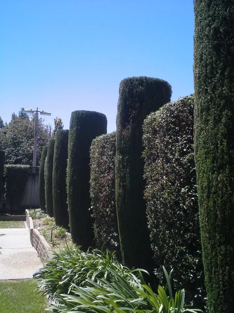 Expert residential landscaping for homes in Morgan Hill, CA by Bay Garden