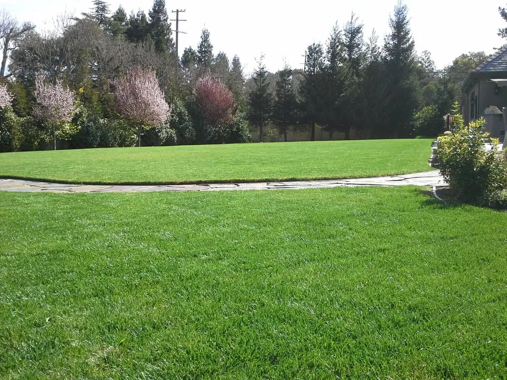 Professional lawn mowing service in Morgan Hill, CA - Bay Garden