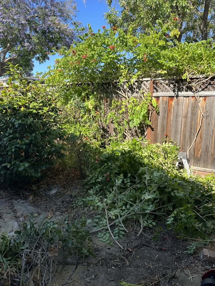 Local landscaping services for homes across Morgan Hill, CA - Bay Garden