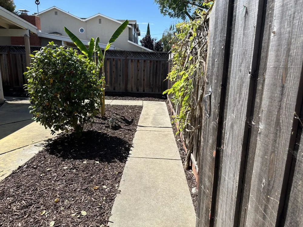 Custom yard maintenance in Morgan Hill, CA by Bay Garden