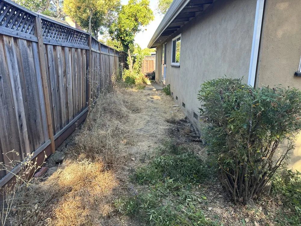 Local yard maintenance in Morgan Hill, CA by Bay Garden