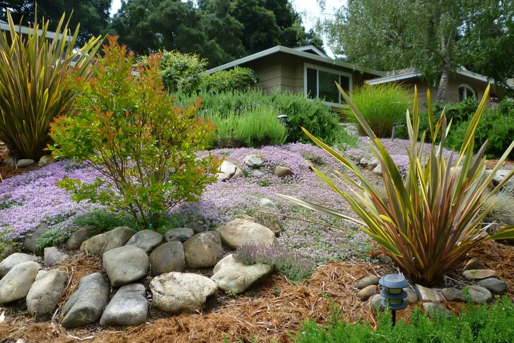 Custom landscape installation for residential properties across Morgan Hill, CA - Bay Garden