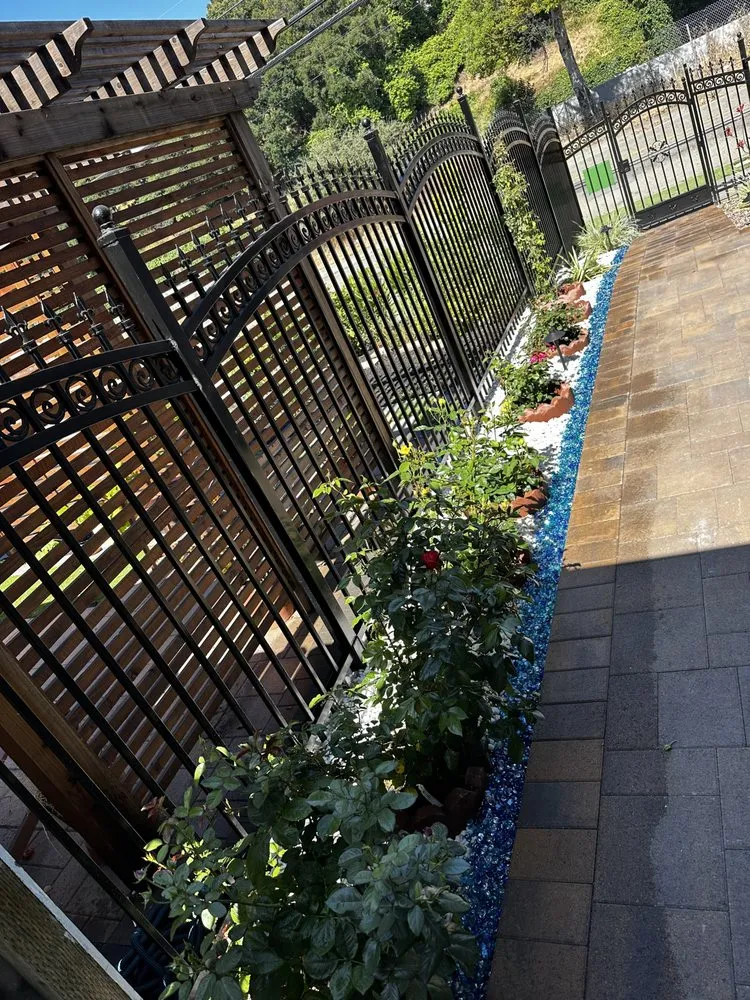 Local landscape installation in El Sobrante, CA - Bay Green Landscape