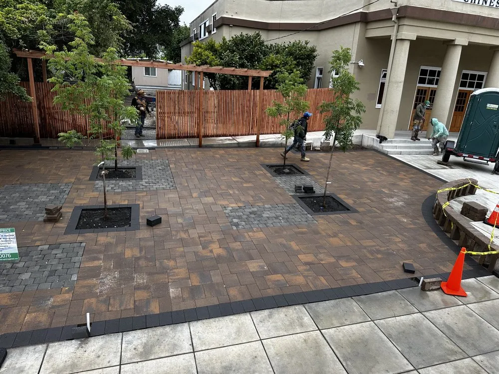 Top-rated yard cleanup service in El Sobrante, CA by Bay Green Landscape
